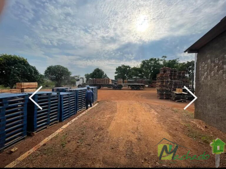 WhatsApp Image 2025-10-02 at 16.08.26 (1)