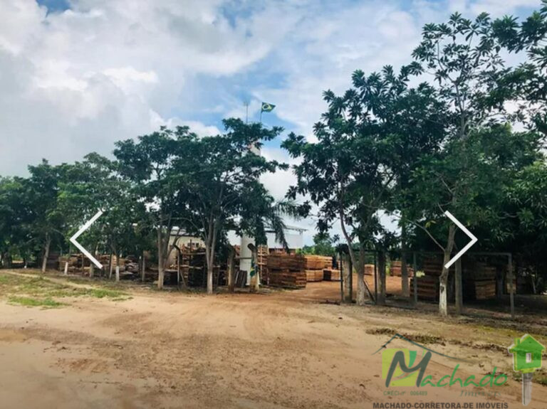 WhatsApp Image 2025-10-02 at 16.08.26 (2)