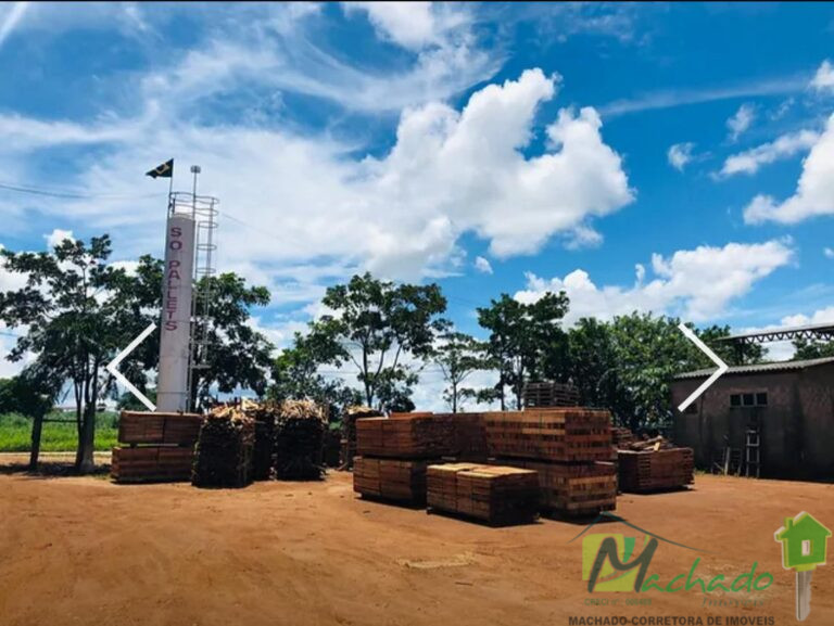 WhatsApp Image 2025-10-02 at 16.08.26 (3)