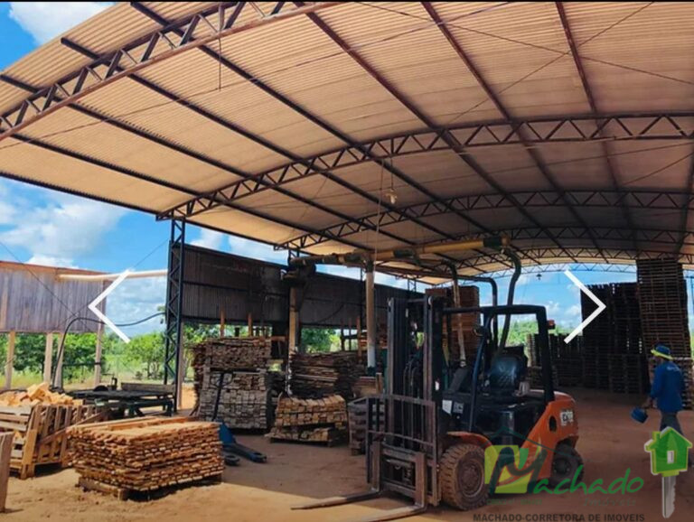 WhatsApp Image 2025-10-02 at 16.08.26