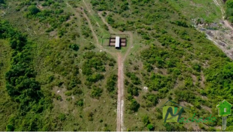 WhatsApp Image 2025-10-06 at 16.01.12 (3)