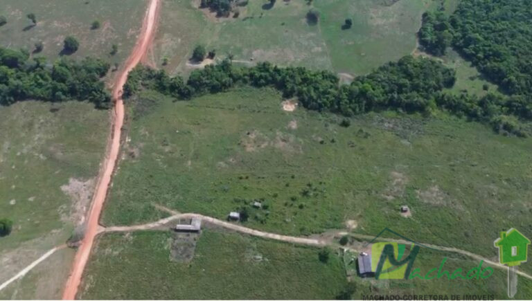 WhatsApp Image 2025-10-06 at 16.01.13 (1)