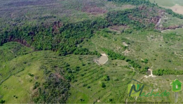 WhatsApp Image 2025-10-06 at 16.01.13 (3)