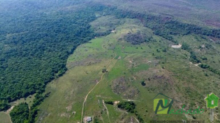 WhatsApp Image 2025-10-06 at 16.01.14