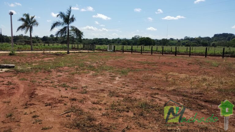 WhatsApp Image 2025-11-10 at 15.14.00 (2) - Copia