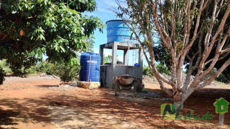 WhatsApp Image 2025-11-10 at 15.14.01 (1) - Copia