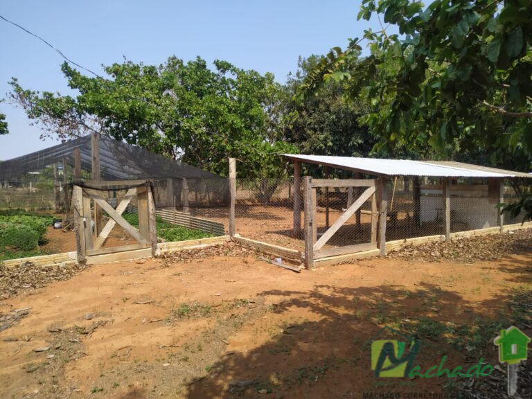 WhatsApp Image 2025-11-10 at 15.14.02 (3) - Copia